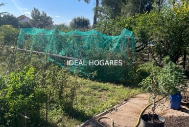 Vivienda-Casa-CASA INDEPENDIENTE CON PISCINA Y GRAN PA 5