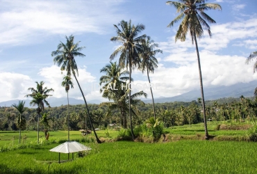 Inmueble singular-Otros inmuebles-TROPICAL NOMADS · LOMBOK (INDONESIA) 2