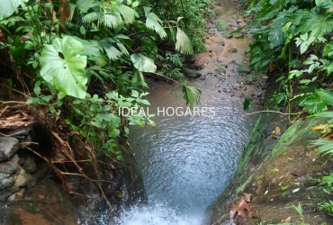 Inversión-Vivienda sin inquilinos-FINCA AGROECOLÓGICA  3