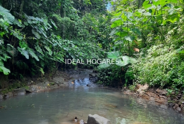 Inversión-Vivienda sin inquilinos-FINCA AGROECOLÓGICA  2