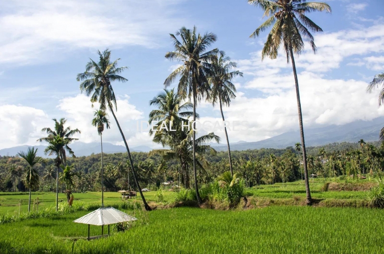 Inmueble singular-Otros inmuebles-TROPICAL NOMADS · KUTA LOMBOK (INDONESIA 3