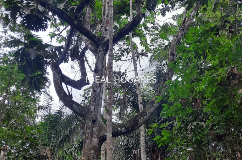 Inversión-Vivienda sin inquilinos-FINCA AGROECOLÓGICA  5