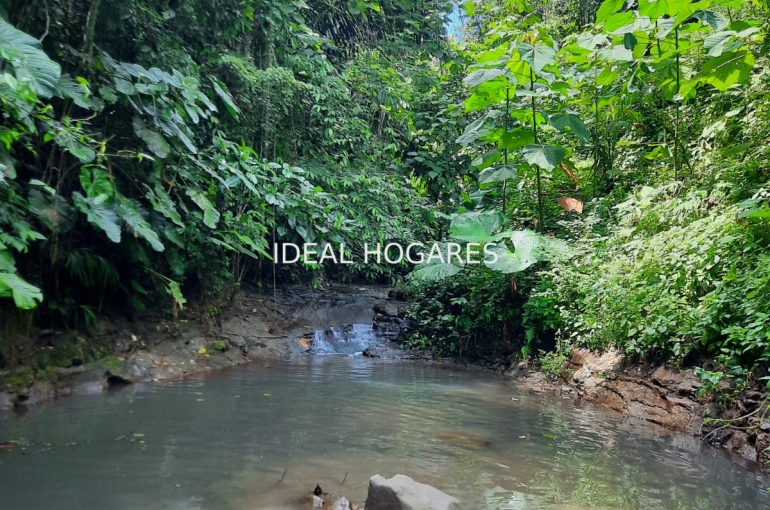 Inversión-Vivienda sin inquilinos-FINCA AGROECOLÓGICA  2