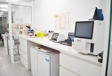 Negocio-Otros negocios-CLÍNICA VETERINARIA EN TRASPASO EN LES C 9